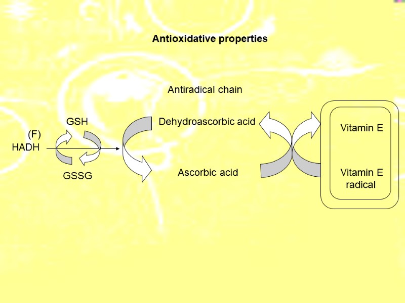 НАDH  Antioxidative properties   Dehydroascorbic acid Ascorbic acid Vitamin E Vitamin E